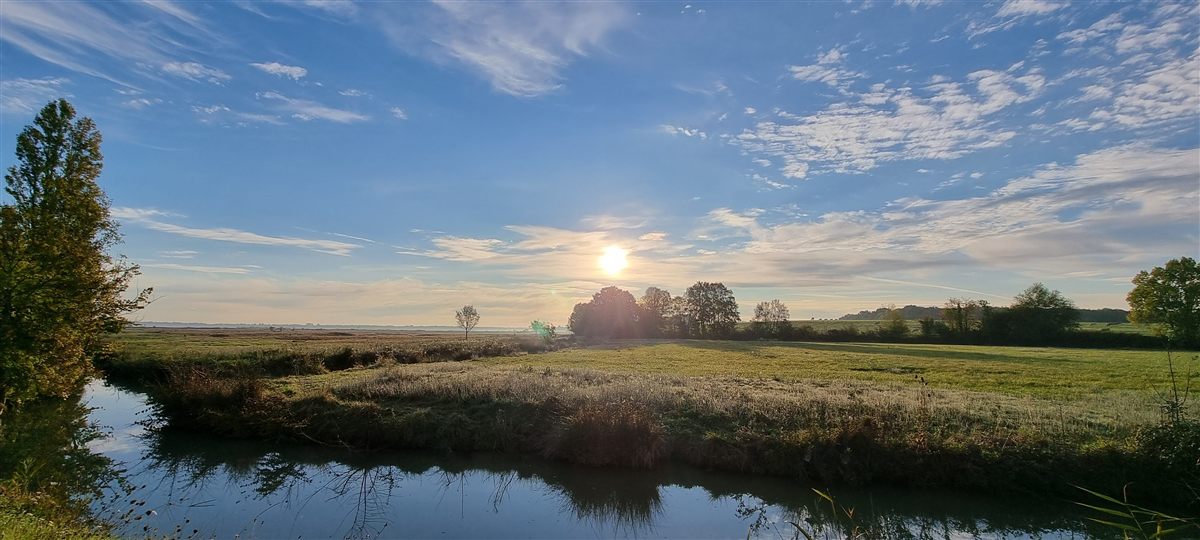 Piste cyclable verdoyante à travers les marais de Charente-Maritime